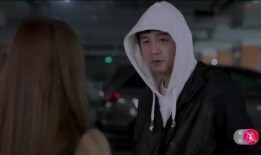 卧底在线观看,揭秘潜伏背后的生死较量